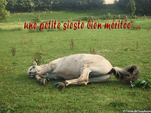 petite sieste bien merit&eacute;e