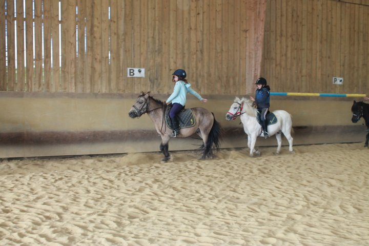 camp_poney_201408_029