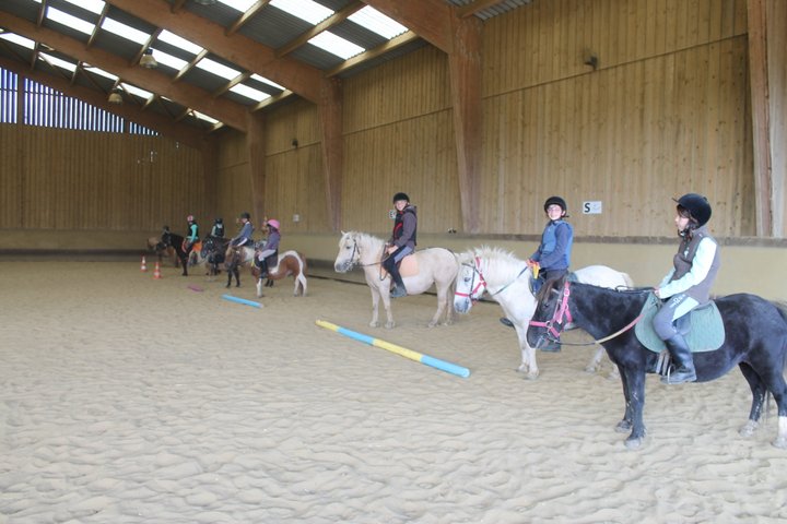 camp_poney_201408_255