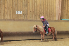 camp_poney_201408_017