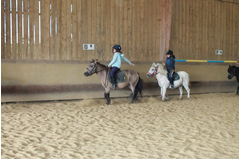 camp_poney_201408_029
