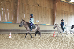 camp_poney_201408_030