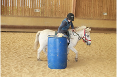 camp_poney_201408_040