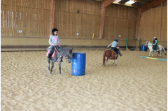 camp_poney_201408_048