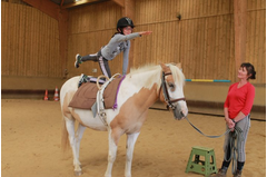 camp_poney_201408_096
