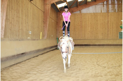 camp_poney_201408_197