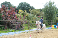 camp_poney_201408_236