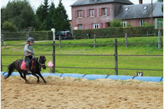 camp_poney_201408_245