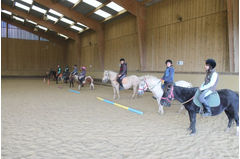 camp_poney_201408_255