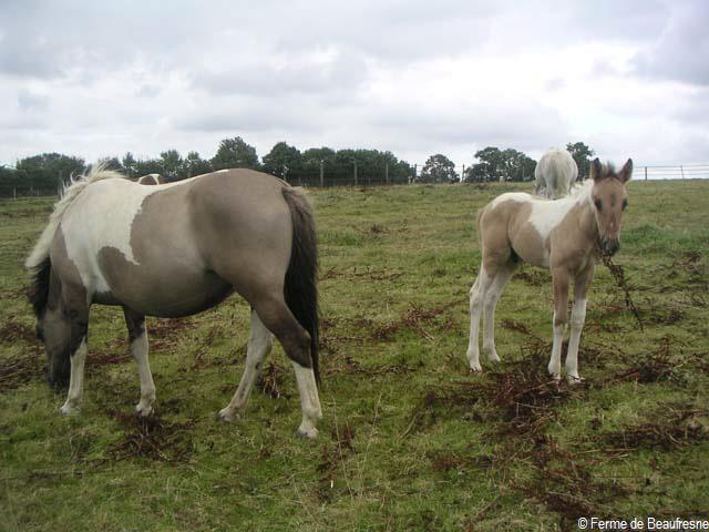 Untipi <br/>et Iroquoise, sa mère