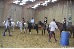 manege_2010_002