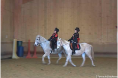 manege_2010_003