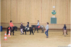 manege_2010_009