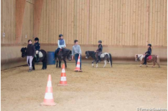 manege_2010_010