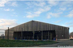 manege_2010_013