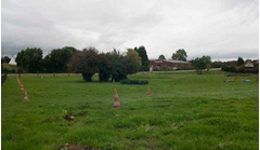 ptvL_02