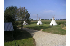 tipi_80