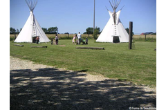 tipi_z2