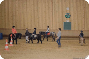 voir la galerie "activités poney"