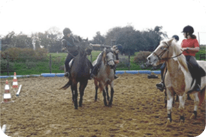 voir la galerie "poney games"