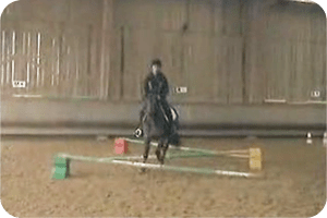Equifun à Beaufresne